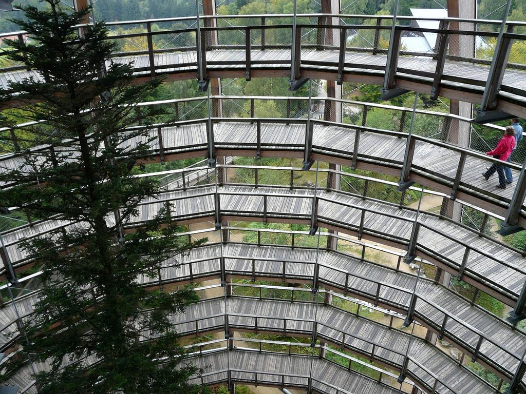 Hands typing on laptop